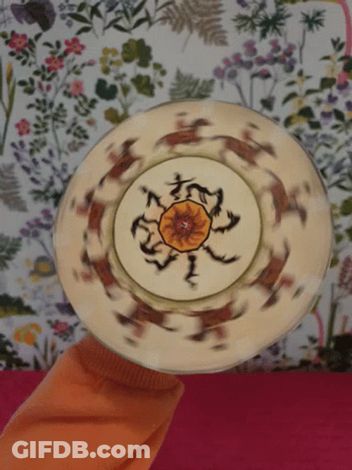 Spinning Plate With Horse Design GIF