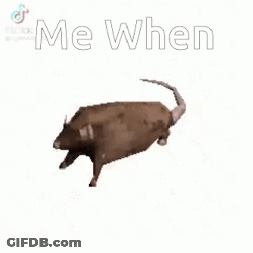 Spinning Rat Me When Meme GIF