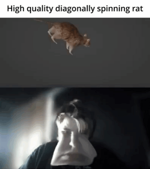Spinning Rat Youtuber Reaction Face Swap GIF