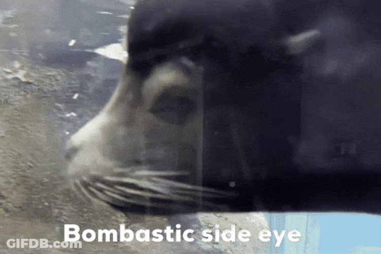Spinning Seal Bombastic Side Eye GIF