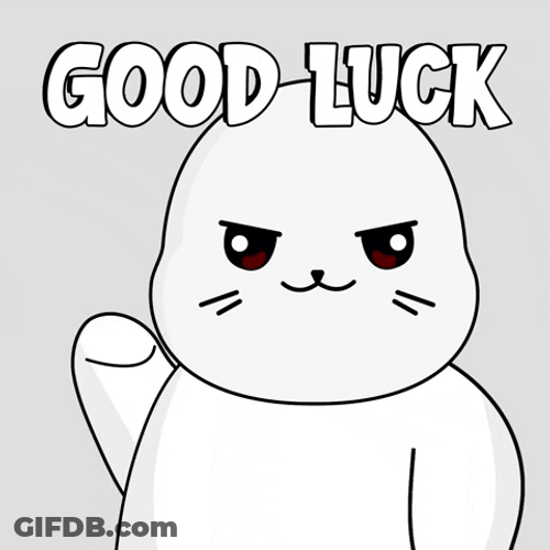 Spinning Seal Good Luck GIF