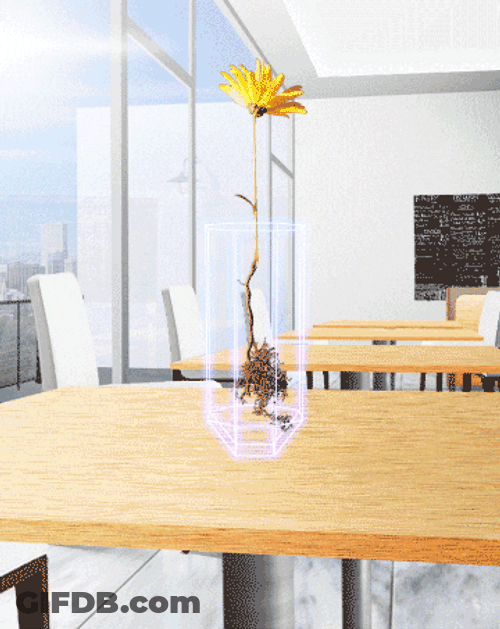 Spinning Vase With Flowers GIF