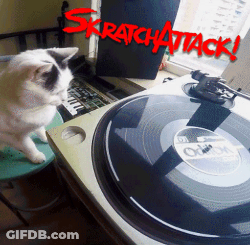 Spinning Vinyl Scratch Spin GIF