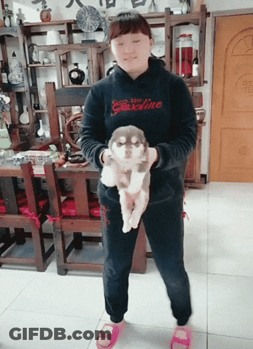 Spinning Woman Carrying A Dog GIF