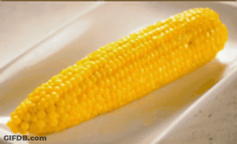 Spinning Yummy Yellow Corn GIF