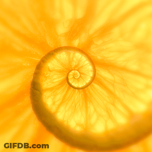 Spiral Orange Aesthetic GIF