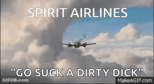 Spirit Airlines Plane Flying Through Clouds GIF