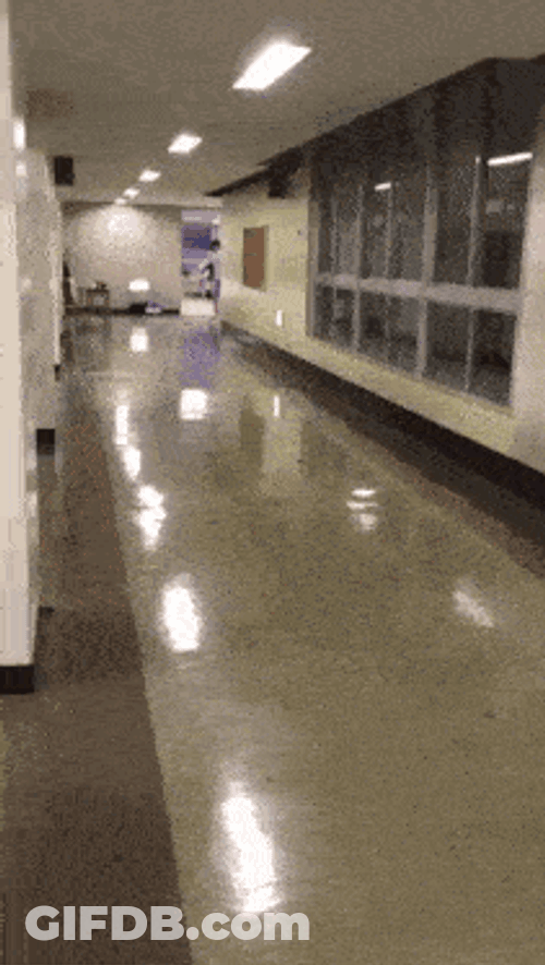 Spirited Away Chase GIF