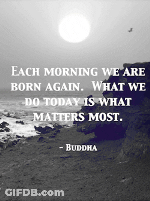Spiritual Quote Born Again Buddha GIF