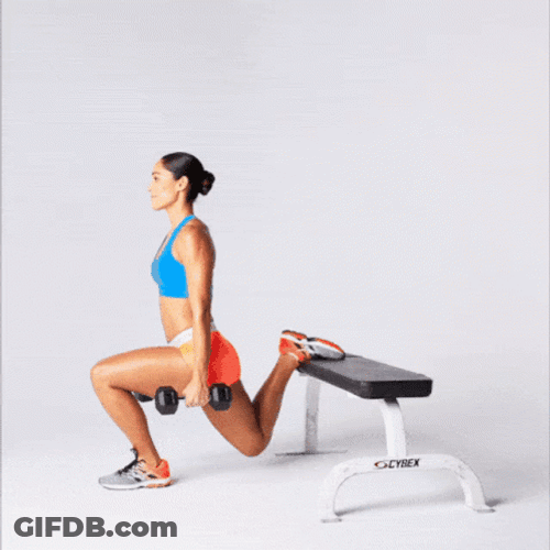 Split Squat Exercise Fitness GIF