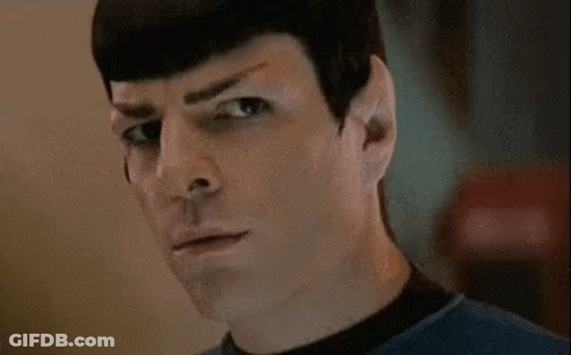 Spock Eye Brow Raise GIF
