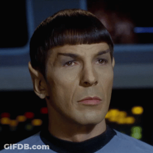 Spock Star Treck Eye Brow Raise GIF
