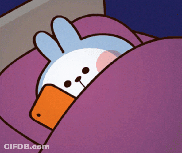 Spoiled Akirambow Rabbit Laying On Bed GIF