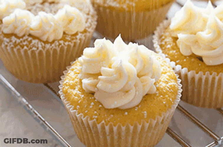Sponge Cupcake GIF