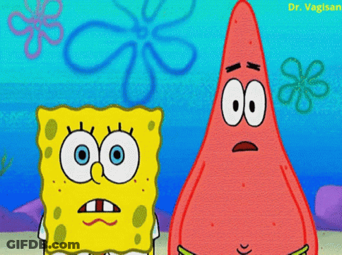 Spongebob And Patrick From Spongebob Squarepants Are Standing Next To Each Other With A Flower In The Background GIF