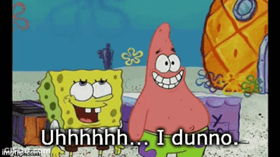 Spongebob And Patrick I Dunno GIF