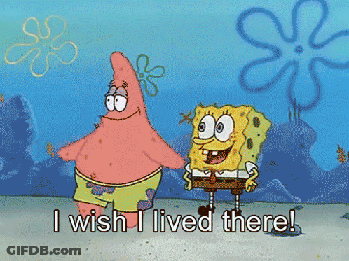 Spongebob And Patrick Standing Together Saying I Wish I Lived There GIF