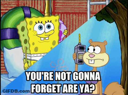 Spongebob And Sandy Cheeks You're Not Gonna Forget Are Ya GIF