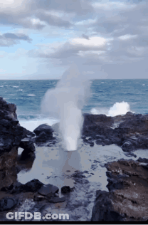 Spongebob And Squidward Standing In Doorway GIF