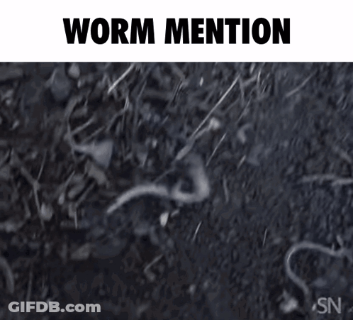 SpongeBob And Worm Who's A Good Boy GIF