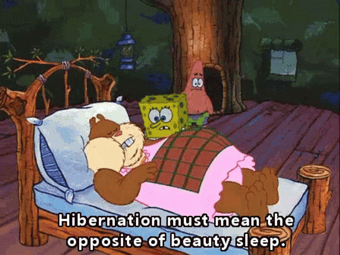 SpongeBob Beauty Sleep GIF