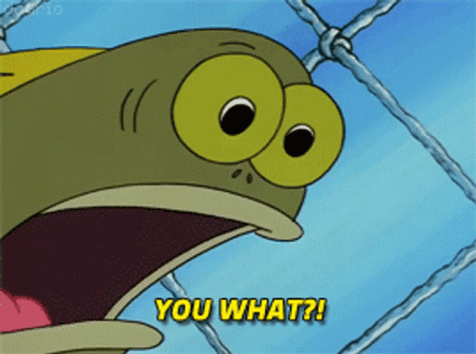 SpongeBob Big Eyes What Meme GIF