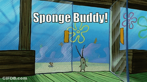 SpongeBob Cartoon Says Sponge Buddy GIF