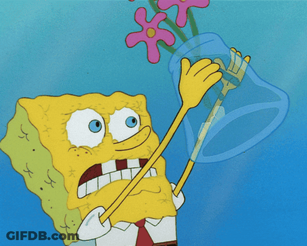 Spongebob Emptying Water From Flower Vase GIF