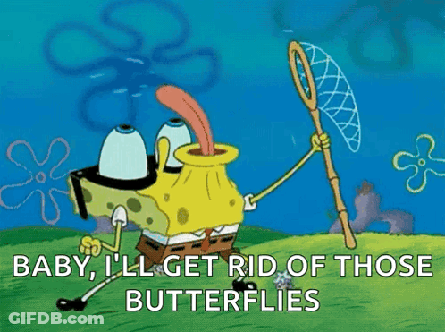 SpongeBob Holding Butterfly Net Saying Baby I'll Get Rid Of Those Butterflies GIF