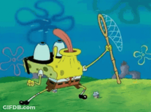 SpongeBob Holding Fishing Net GIF