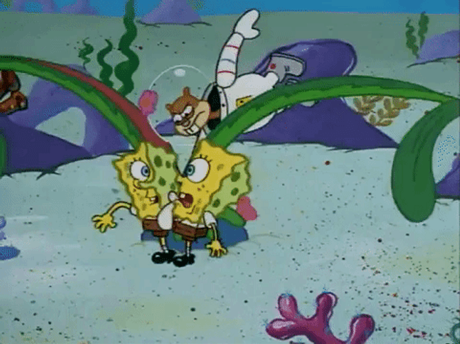 Spongebob I Need It Fight Slice With Daisy GIF