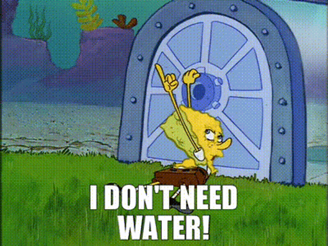 Spongebob I Need It I Don't Need Water GIF
