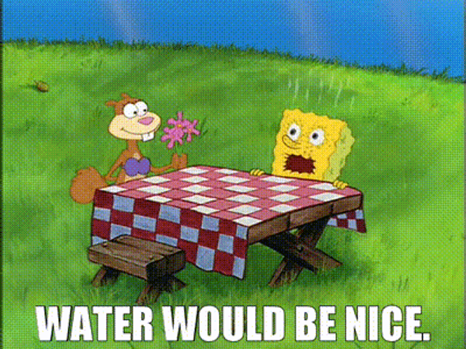 Spongebob I Need It Water Would Be Nice GIF