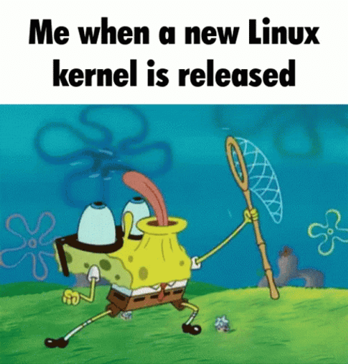 SpongeBob Linux Meme GIF