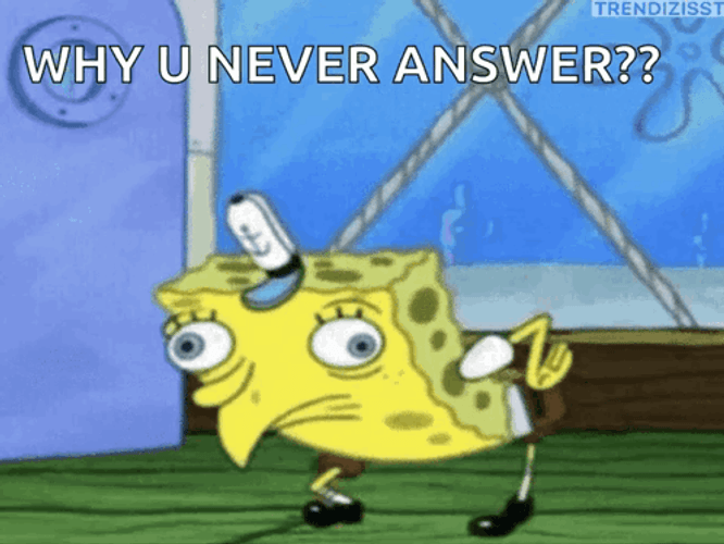 Spongebob Mocking Why You Never Answer GIF