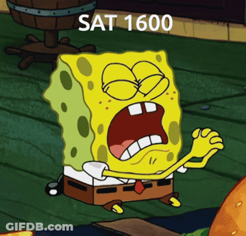SpongeBob Sat 1600 GIF