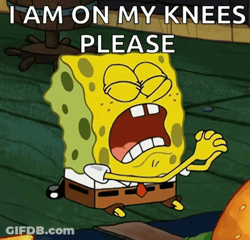 Spongebob Saying I Am On My Knees Please GIF