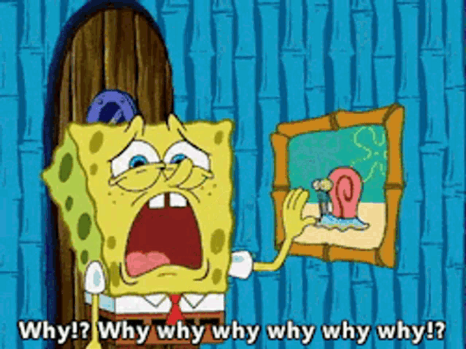 SpongeBob Saying Why GIF