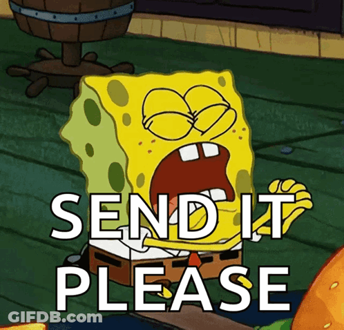SpongeBob Screaming Send It Please GIF