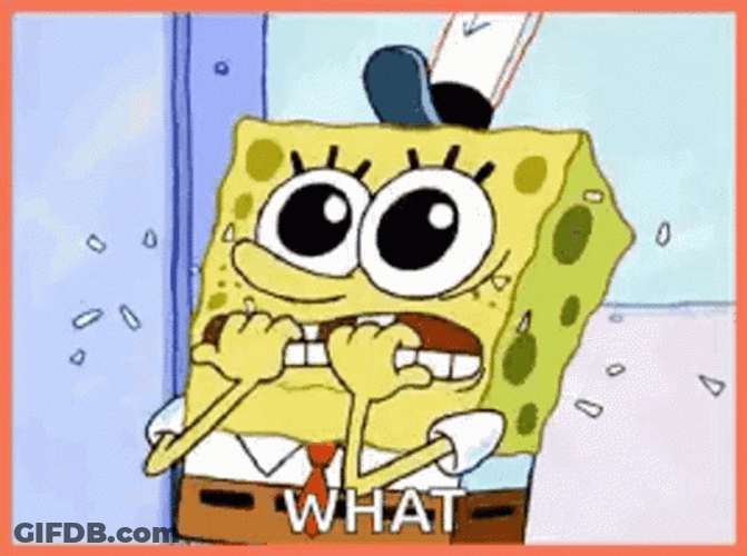SpongeBob Shocked Terrified What GIF