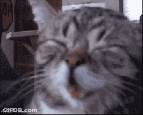 SpongeBob Sitting On Floor Looking Out Window GIF