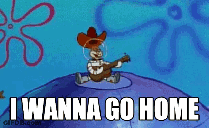 Spongebob Squarepants GIF