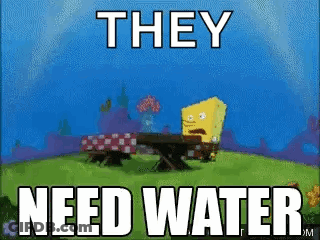 Spongebob Squarepants Is Sitting At A Picnic Table In A Field With The Words `` They Need Water '' . GIF
