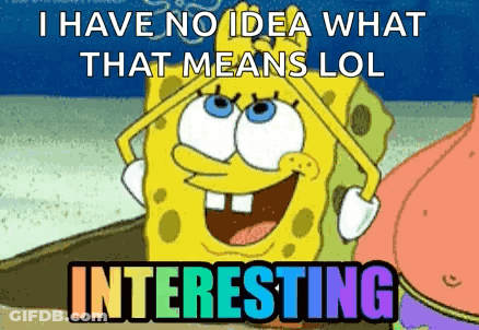 SpongeBob SquarePants Saying I Have No Idea What That Means LOL Interesting GIF