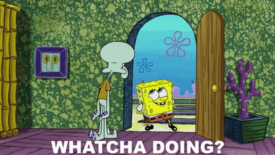 Spongebob Squarepants Spongebob GIF