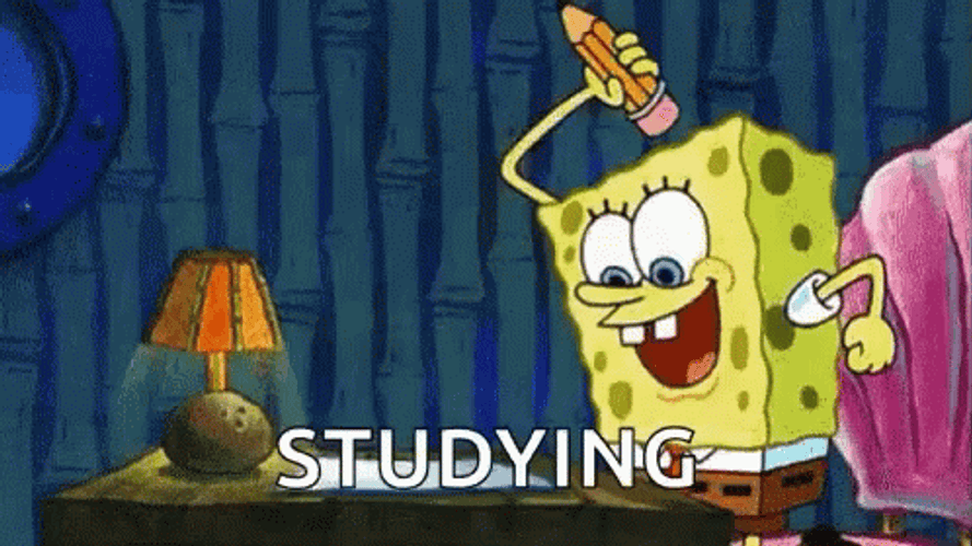 Spongebob Studying Hard GIF