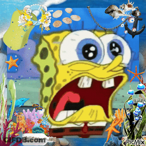 SpongeBob Surrounded By Seashells And Coral GIF