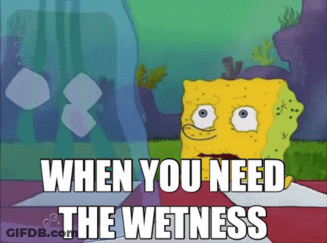Spongebob The Wetness I Need It GIF