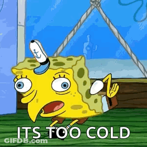 SpongeBob With Bird Head Saying It's Too Cold GIF