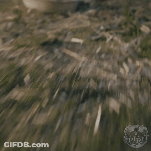 Spooky Month Spirit Halloween Zombie Dog GIF